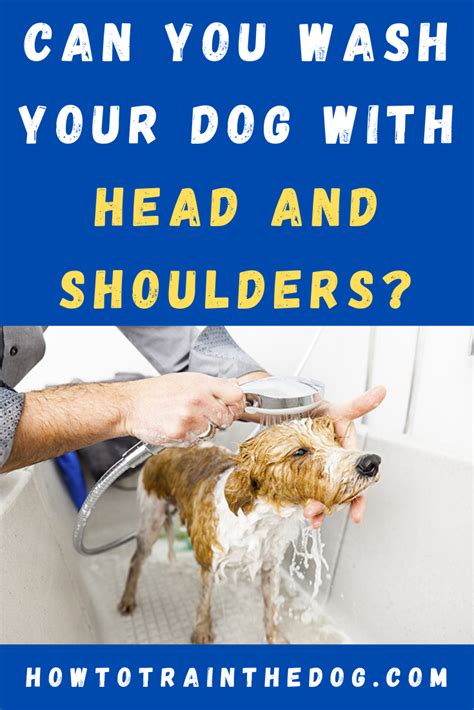 head & shoulders for dogs|HEAD Definition & Meaning .